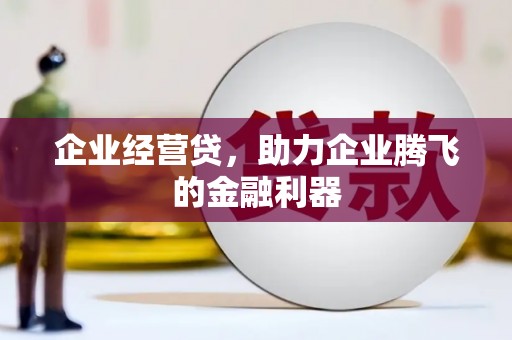 纳雍企业经营贷，助力企业腾飞的金融利器