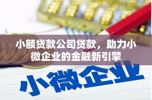 纳雍小额贷款公司贷款，助力小微企业的金融新引擎