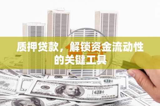 纳雍质押贷款，解锁资金流动性的关键工具