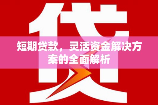 纳雍短期贷款，灵活资金解决方案的全面解析