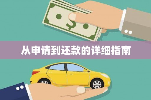 纳雍从申请到还款的详细指南