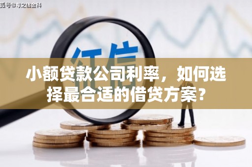 纳雍小额贷款公司利率，如何选择最合适的借贷方案？