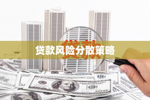 纳雍贷款风险分散策略