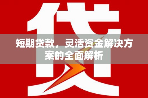 纳雍短期贷款，灵活资金解决方案的全面解析