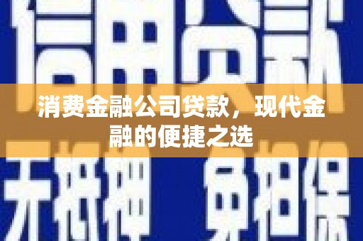 纳雍消费金融公司贷款，现代金融的便捷之选