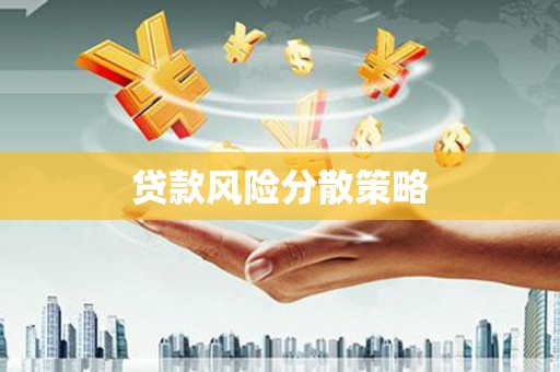 纳雍贷款风险分散策略
