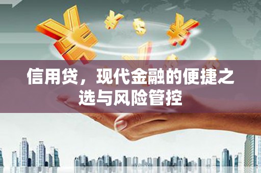 纳雍信用贷，现代金融的便捷之选与风险管控