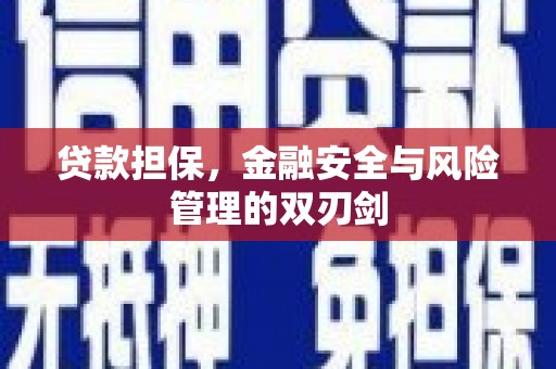 纳雍贷款担保，金融安全与风险管理的双刃剑