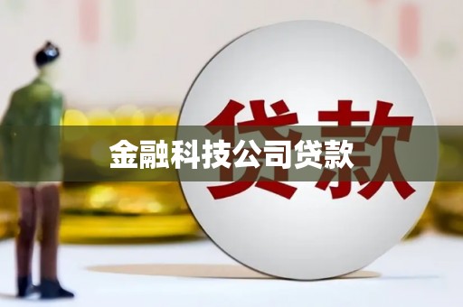 纳雍金融科技公司贷款
