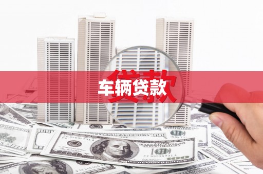 纳雍车辆贷款