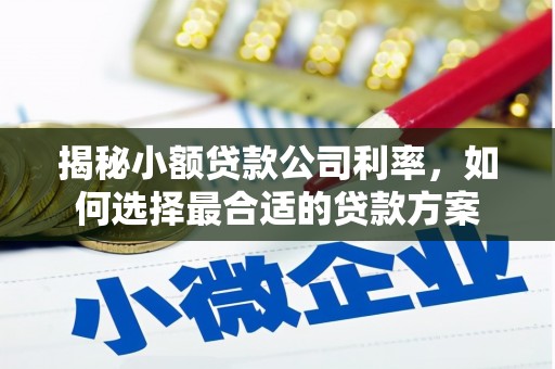 纳雍揭秘小额贷款公司利率，如何选择最合适的贷款方案
