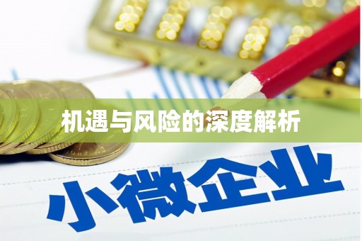 纳雍机遇与风险的深度解析