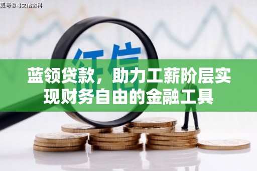 纳雍蓝领贷款，助力工薪阶层实现财务自由的金融工具