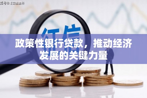 纳雍政策性银行贷款，推动经济发展的关键力量