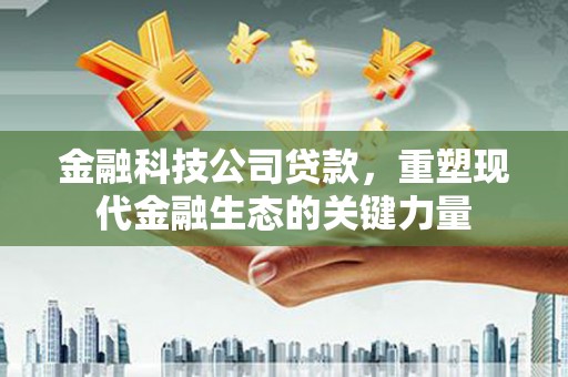 纳雍金融科技公司贷款，重塑现代金融生态的关键力量