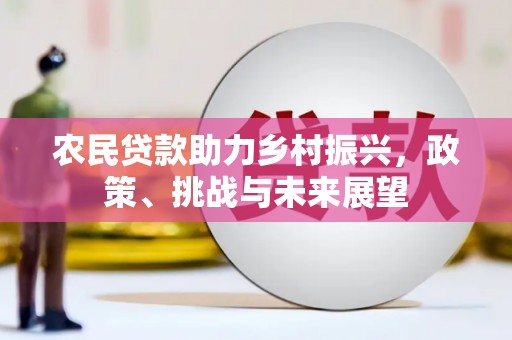 纳雍农民贷款助力乡村振兴，政策、挑战与未来展望
