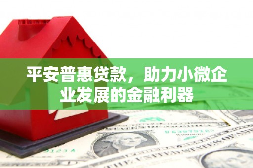 纳雍平安普惠贷款，助力小微企业发展的金融利器