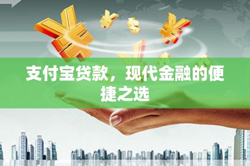 纳雍支付宝贷款，现代金融的便捷之选