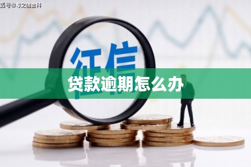 纳雍贷款逾期怎么办