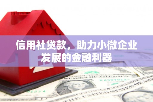 纳雍信用社贷款，助力小微企业发展的金融利器