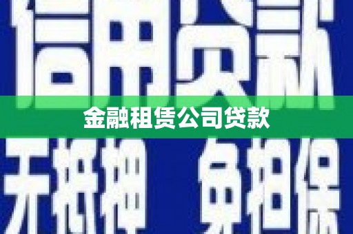 纳雍金融租赁公司贷款