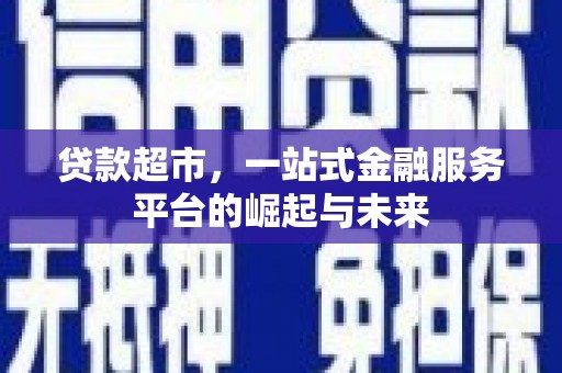 纳雍贷款超市，一站式金融服务平台的崛起与未来