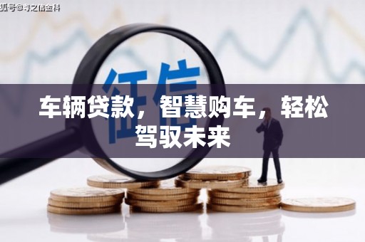 纳雍车辆贷款，智慧购车，轻松驾驭未来