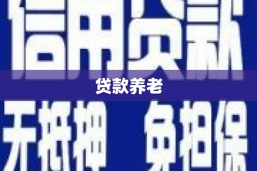纳雍贷款养老
