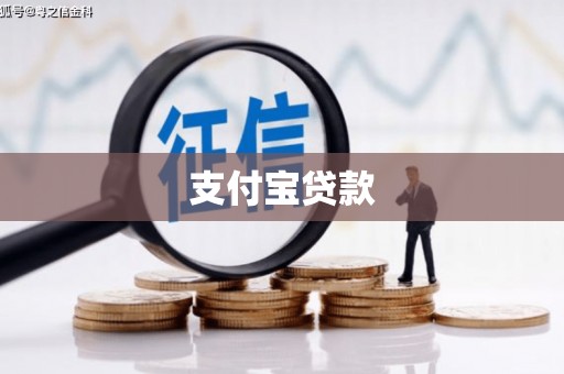 纳雍支付宝贷款