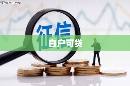 纳雍白户可贷