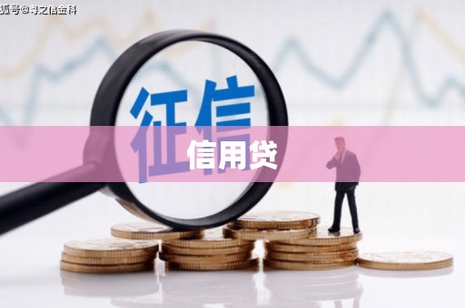 纳雍信用贷