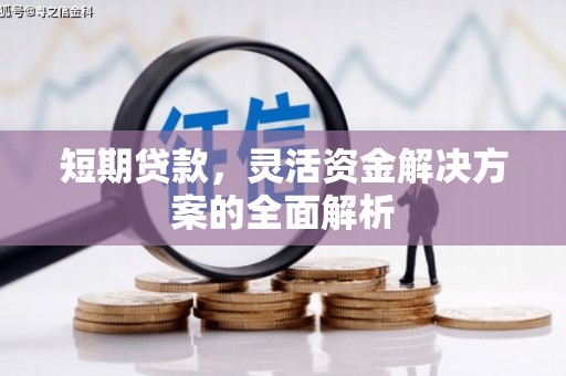 纳雍短期贷款，灵活资金解决方案的全面解析