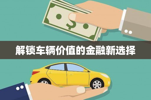 纳雍解锁车辆价值的金融新选择