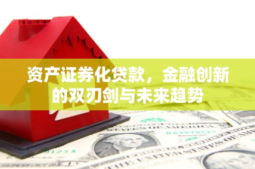纳雍资产证券化贷款，金融创新的双刃剑与未来趋势