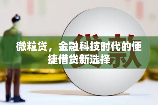 纳雍微粒贷，金融科技时代的便捷借贷新选择