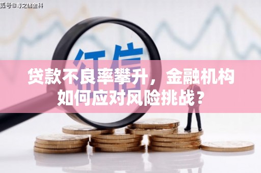 纳雍贷款不良率攀升，金融机构如何应对风险挑战？