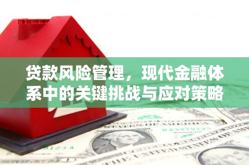 纳雍贷款风险管理，现代金融体系中的关键挑战与应对策略