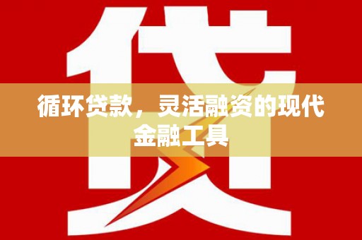 纳雍循环贷款，灵活融资的现代金融工具