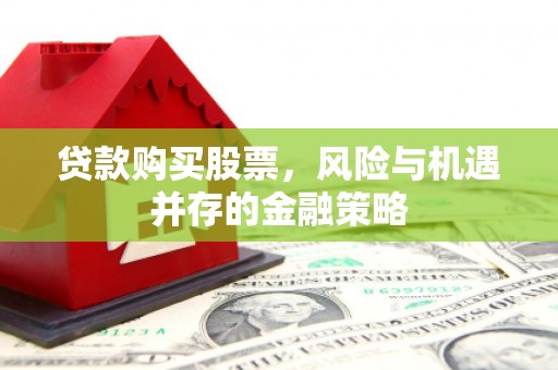纳雍贷款购买股票，风险与机遇并存的金融策略