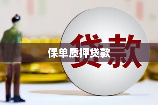 纳雍保单质押贷款