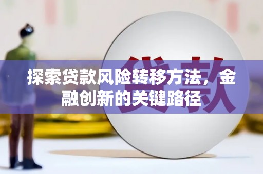 纳雍探索贷款风险转移方法，金融创新的关键路径