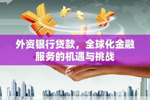 纳雍外资银行贷款，全球化金融服务的机遇与挑战