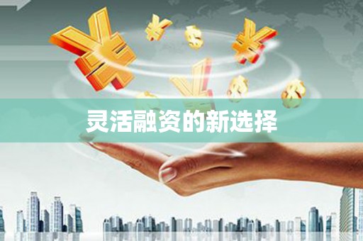 纳雍灵活融资的新选择