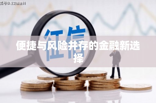 纳雍便捷与风险并存的金融新选择