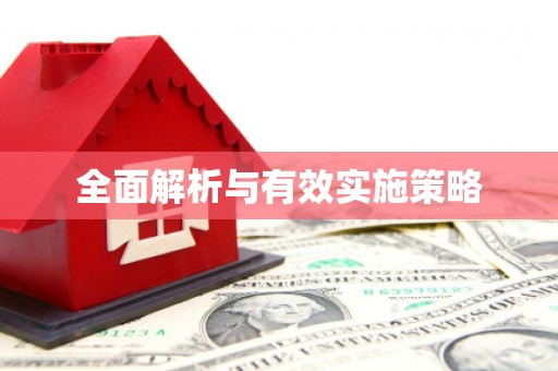 纳雍全面解析与有效实施策略