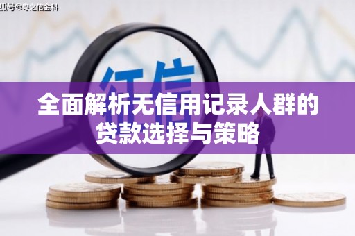 纳雍全面解析无信用记录人群的贷款选择与策略