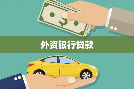纳雍外资银行贷款