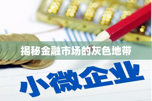 纳雍揭秘金融市场的灰色地带