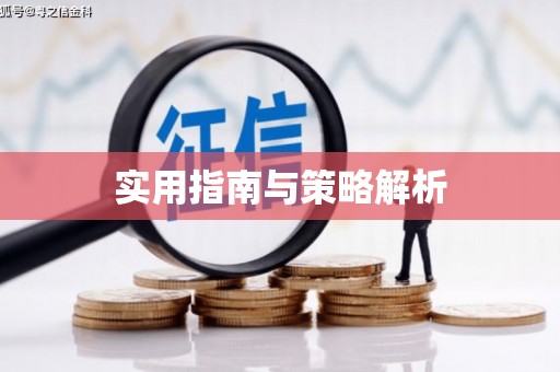 纳雍实用指南与策略解析