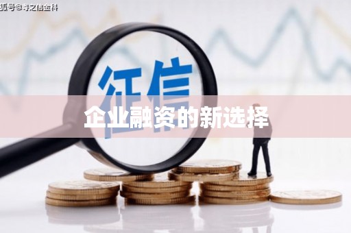纳雍企业融资的新选择